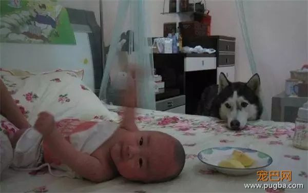 说怀孕就不能养狗的人，那是他们没有常识！-8.jpeg