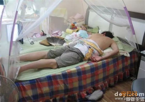 说怀孕就不能养狗的人，那是他们没有常识！-10.jpeg