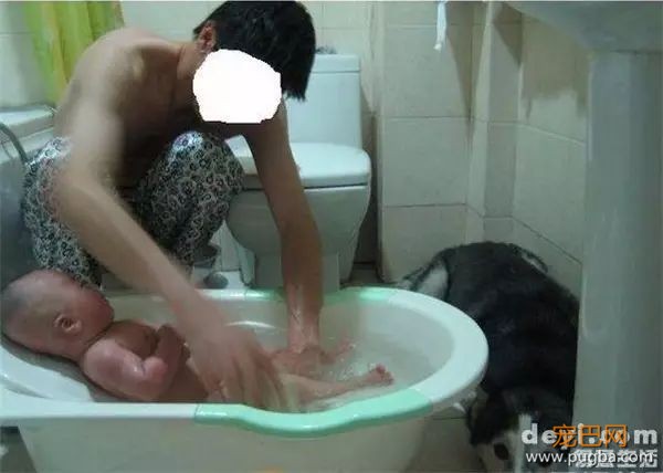 说怀孕就不能养狗的人，那是他们没有常识！-7.jpeg