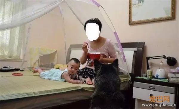 说怀孕就不能养狗的人，那是他们没有常识！-14.jpeg