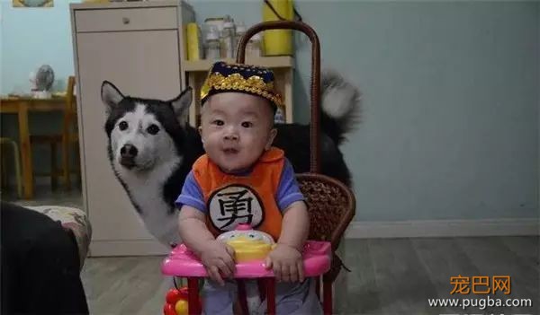 说怀孕就不能养狗的人，那是他们没有常识！-15.jpeg