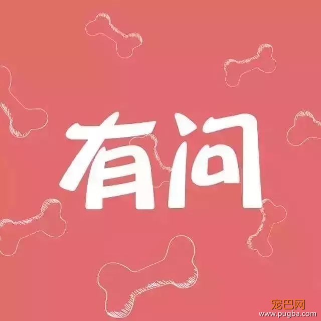 狗狗的眼睛愈发浑浊？小心得上白内障-1.jpeg