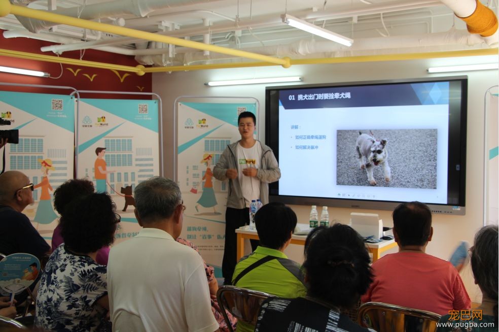 文明养犬进社区 | 人犬随行，文明相伴-2.jpeg