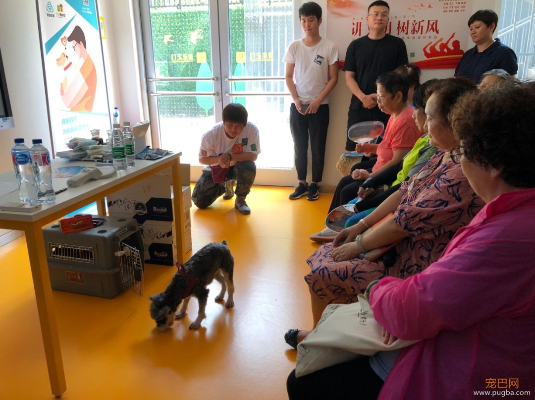文明养犬进社区 | 人犬随行，文明相伴-5.jpeg