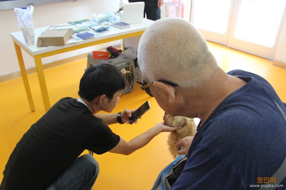 文明养犬进社区 | 人犬随行，文明相伴-8.jpeg