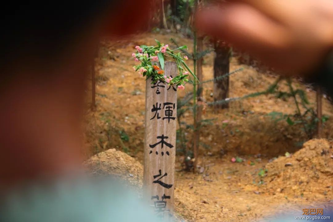 警犬中毒那一刻，他毫不犹豫地为它做人工呼吸-1.jpeg