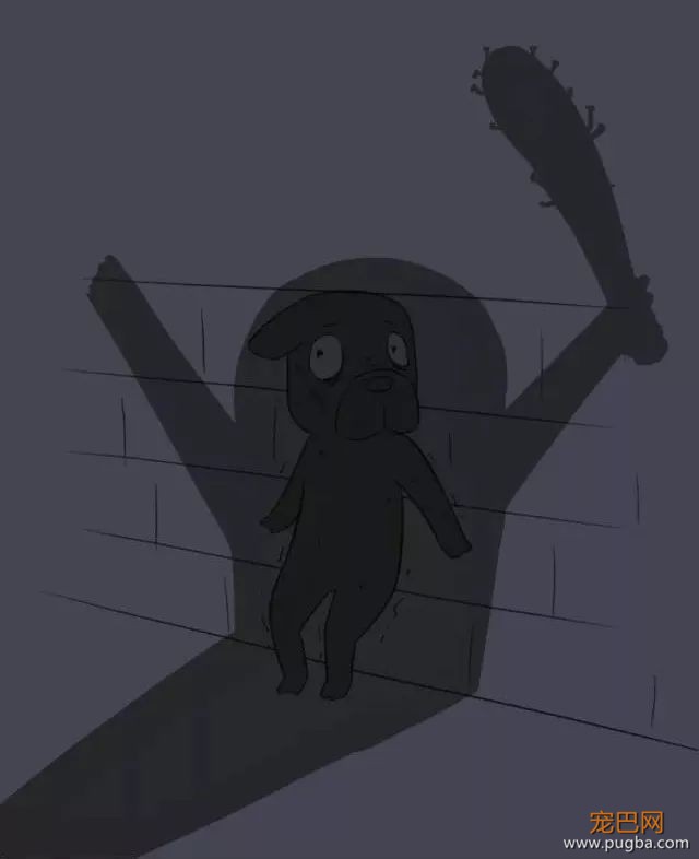 养狗之后，我最讨厌这10种人-6.jpeg