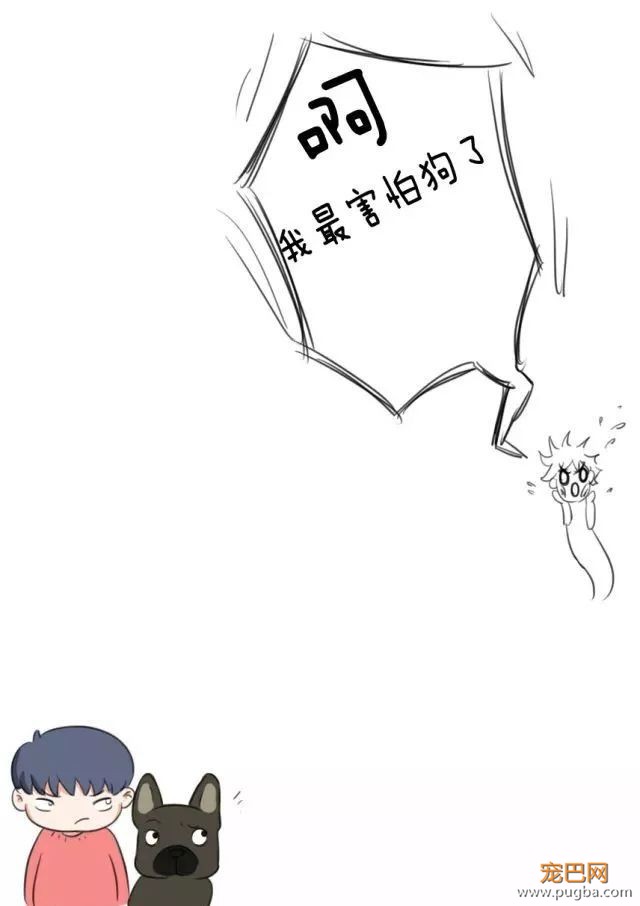 养狗之后，我最讨厌这10种人-8.jpeg