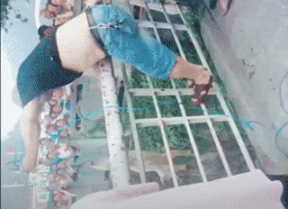 大叔冒险下悬崖救狗。网友：我做不到，所以尤其敬佩！-5.gif