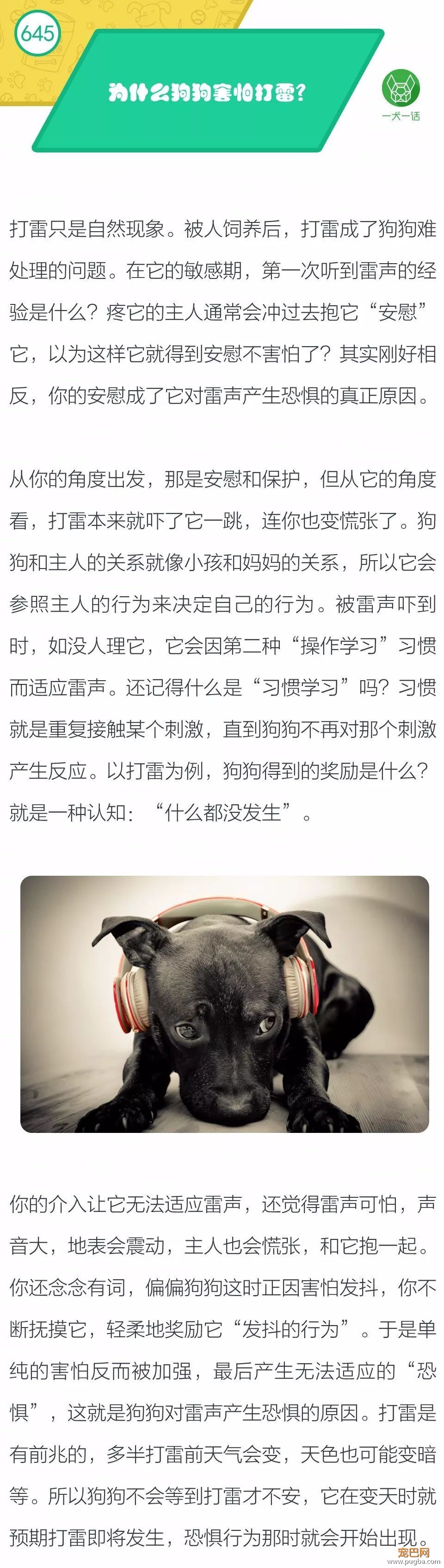 为什么狗狗害怕打雷？-1.jpeg