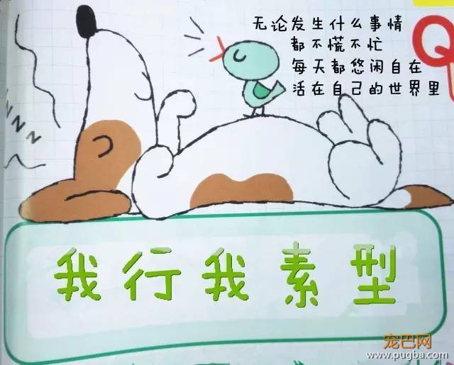 狗狗性格分类简介-2.jpeg