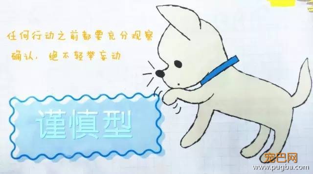 狗狗性格分类简介-5.jpeg