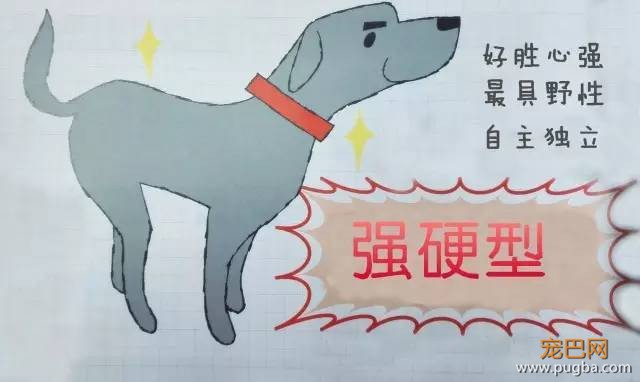 狗狗性格分类简介-7.jpeg