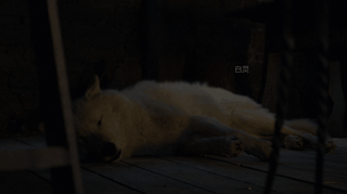 因为离开时主角没有抱他的狗，全世界的影迷都愤怒了！-3.gif