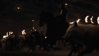 因为离开时主角没有抱他的狗，全世界的影迷都愤怒了！-5.gif