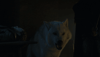 因为离开时主角没有抱他的狗，全世界的影迷都愤怒了！-4.gif
