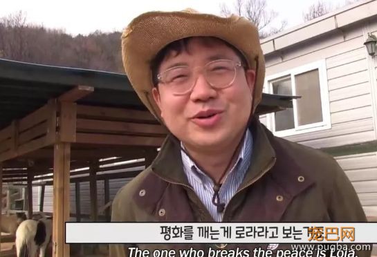 活久见！你家的柯基，会捉马儿吗？-9.jpeg