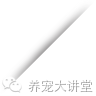 如何去养好小狗-3.png