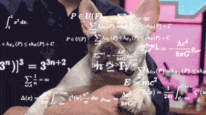 遇到较真的“杠精”，专业犬舍也没招！-1.gif