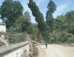 当一群单身狗看到路过的美女时....-3.gif