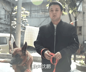 11年过去了，你还记得在汶川地震中救出15人的这只搜救犬么？-10.gif