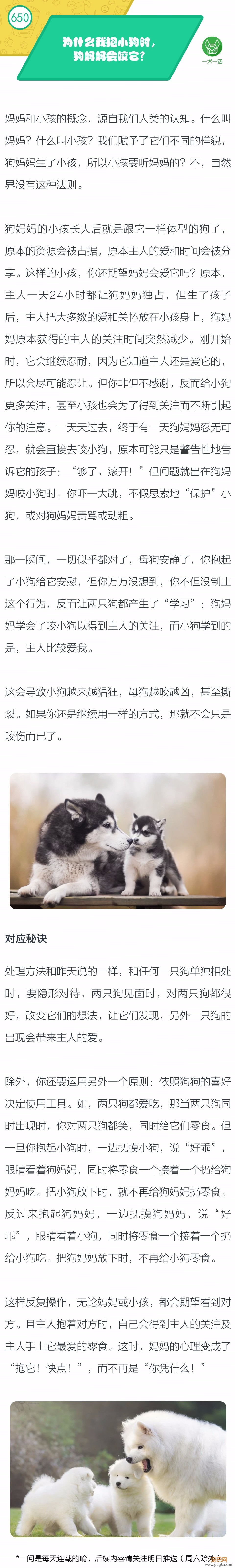 为什么我抱小狗时，狗妈妈会咬它？-1.jpeg