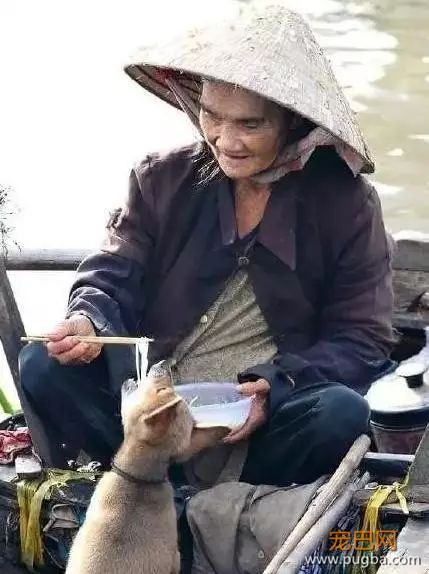 养狗需要很有钱？那穷人怎么办...-3.jpeg