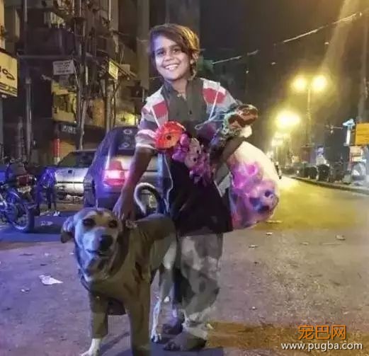 养狗需要很有钱？那穷人怎么办...-2.jpeg