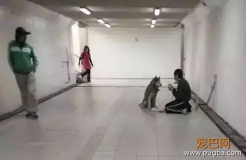 养狗需要很有钱？那穷人怎么办...-4.jpeg
