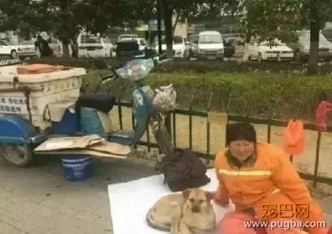 养狗需要很有钱？那穷人怎么办...-10.jpeg