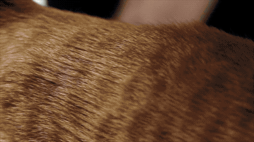 12款畅销梳子超详细测评，帮你种草避雷！-5.gif