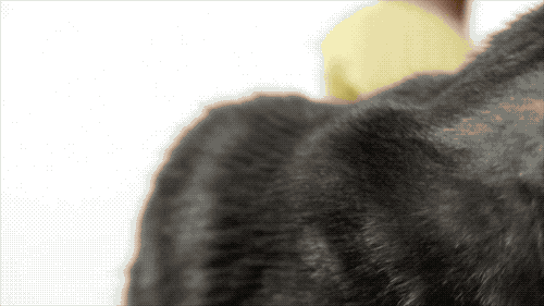 12款畅销梳子超详细测评，帮你种草避雷！-29.gif