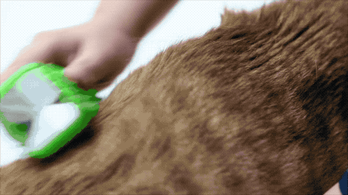 12款畅销梳子超详细测评，帮你种草避雷！-32.gif
