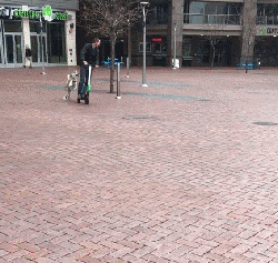 “报告，有人对我的狗狗发射了一枚导弹！”-4.gif