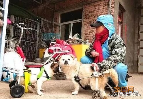 遭遇车祸，容貌尽毁，如今为了四百只流浪狗，婉拒了多人追求！-10.jpeg