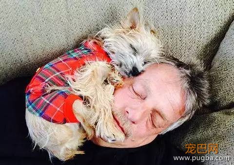 养一只超粘人的狗狗是种怎样的体验？-7.jpeg