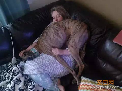 养一只超粘人的狗狗是种怎样的体验？-5.jpeg