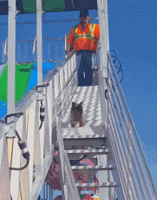 遛狗时请离这个地方远点，否则...-5.gif