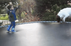 遛狗时请离这个地方远点，否则...-9.gif