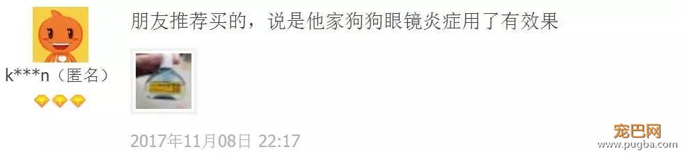 为什么给狗滴眼药水？不想以后带它去医院-14.jpeg