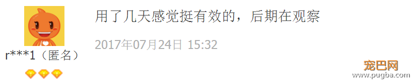 为什么给狗滴眼药水？不想以后带它去医院-12.png