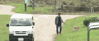主人被绑架，狗砸啥反应？前面笑喷了，最后却哭惨了！-1.gif