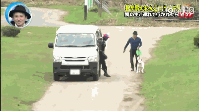主人被绑架，狗砸啥反应？前面笑喷了，最后却哭惨了！-9.gif
