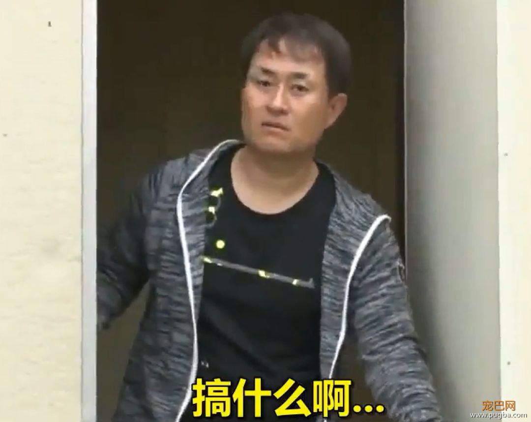 主人被绑架，狗砸啥反应？前面笑喷了，最后却哭惨了！-7.jpeg