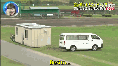 主人被绑架，狗砸啥反应？前面笑喷了，最后却哭惨了！-13.gif