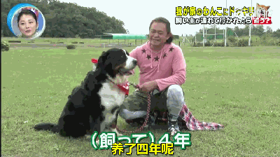 主人被绑架，狗砸啥反应？前面笑喷了，最后却哭惨了！-14.gif