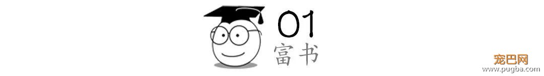 又想骗我养狗，在抖音上她学会了爱与陪伴的秘诀-3.jpeg