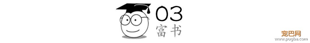 又想骗我养狗，在抖音上她学会了爱与陪伴的秘诀-6.jpeg
