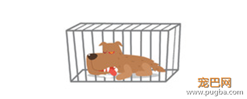 狂犬病致死率100%！这些救命知识一定要早知道-5.png