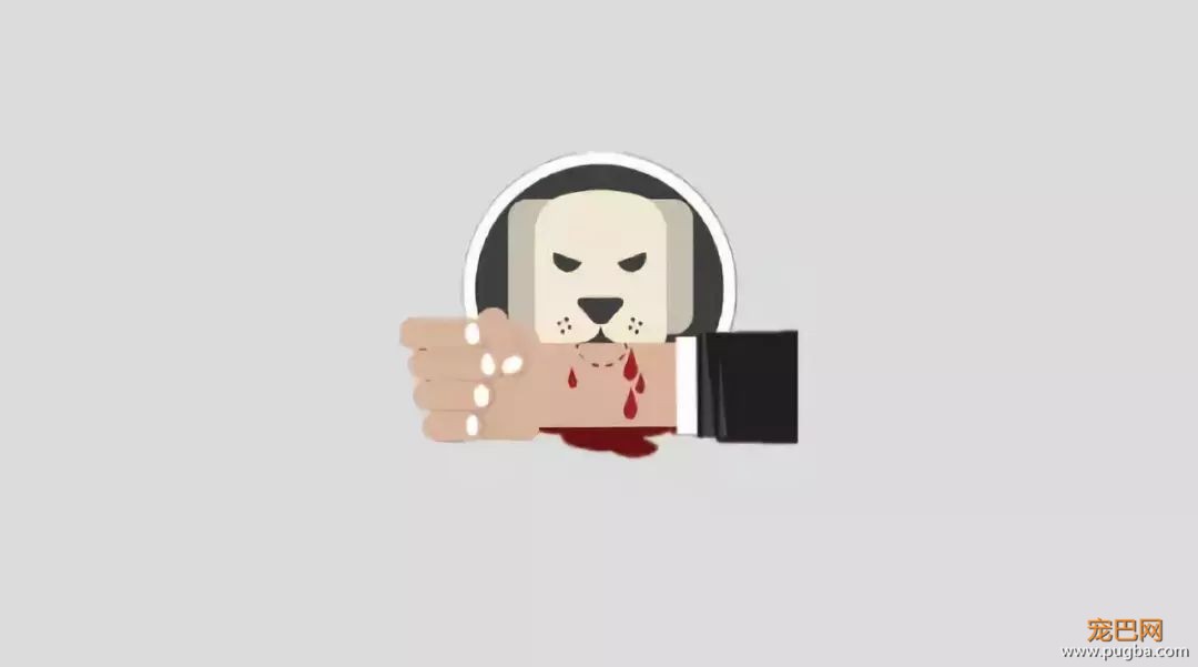 狂犬病致死率100%！这些救命知识一定要早知道-4.jpeg
